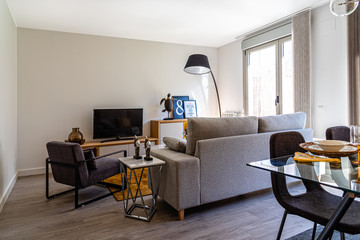 Stylish contemporary living room interior with sofa