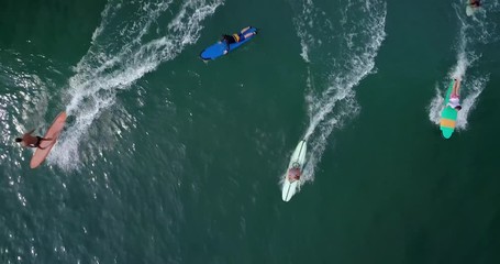 Cinematic aerial drone footage of sporty young surfer couple with long surf board paddle in ocean to surfing lineup. Modern active lifestyle. Water sport adventure camp. Extreme on summer vacation.