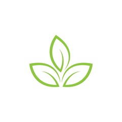 Green leaf logo