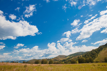 Blue sky with white clouds, trees, fields and meadows with green grass, against the mountains. Composition of nature. Rural summer landscape.