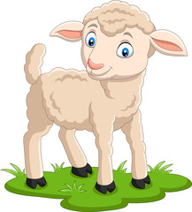 Cartoon happy lamb on the grass