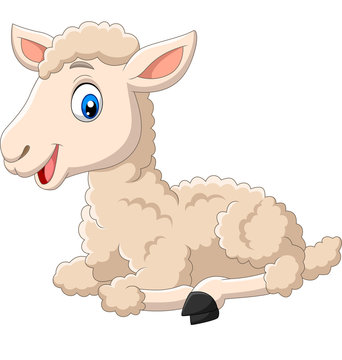 Cute Lamb Cartoon Sitting Isolated On White Background