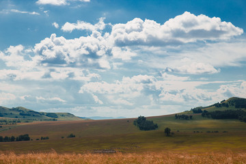 Blue sky with white clouds, trees, fields and meadows with green grass, against the mountains. Composition of nature. Rural summer landscape.