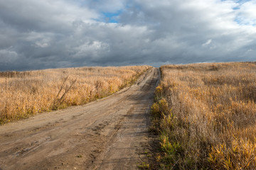 Country road rut with puddles through agricultural field