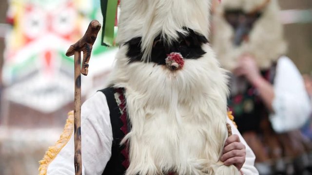 Verry furry head mask made out of a goat with a man holding a wooden stick which is an old shepherd accesorie.