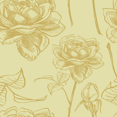 Roses. Hand drawn flower set illustrations. Botanical plant illustration. Vintage medicinal herbs sketch set of ink hand drawn medical herbs and plants sketch. Seamless patterns.