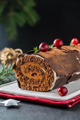Buche de Noel. Traditional Christmas dessert, Christmas yule log cake with chocolate cream, cranberry. On stone gray background with Christmas tree branches.