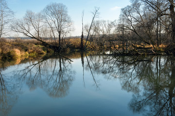 Autumn forest river water panorama. Natural color.