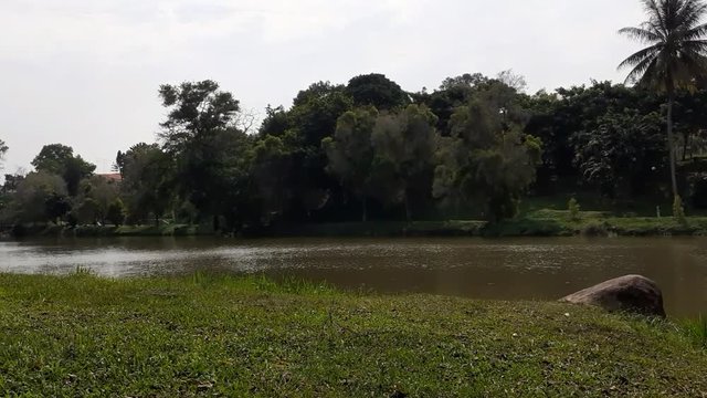 A lake in kluang town, johor malaysia