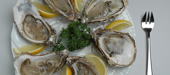Oysters plate with lemon on grey background. Oyster dinner with champagne in restaurant. Oysters with lemon