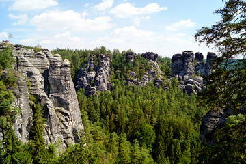 Fototapeta na wymiar Blick auf die Felsen der Bastei in Rathen