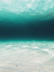 Fototapeta na wymiar Diving in clear beach water on a bright summer vacation day. Cala Portals Vells, Mallorca. Balearic Islands