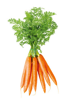 Bund Karotten