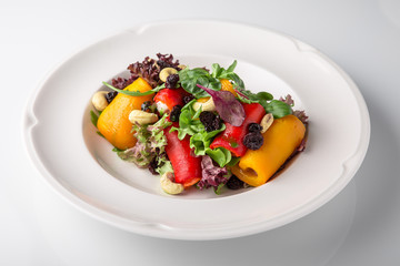Appetizer of grilled vegetables from zucchini, eggplants, tomatoes, sweet peppers, onions. Rolls stuffed with cheese. Banquet festive dishes. Gourmet restaurant menu. White background.