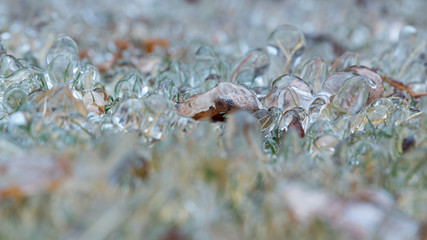 Hielo