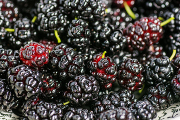 Ripe and fresh fruit of black mulberry, healthy food of juicy mulberry fruit. Close-up, the texture of the berries.