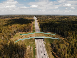 Wildlife Crossing - Bridge over a highway in forest