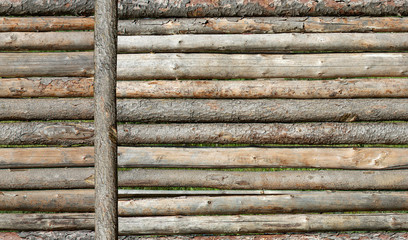 Seamless colorful pattern of logs with the bark and debarked of the pine tree. Textured Background