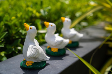 statuary a duck family in the decoration garden with outdoor sunset light
