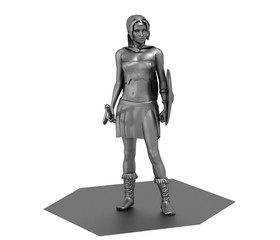 Obraz premium warrior woman character, 3D rendering, illustration