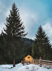 Wooden chalet in the winter forest