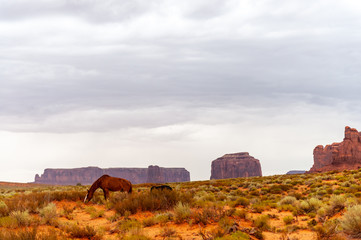 Monument Valley on a slightly overcast summer morning.