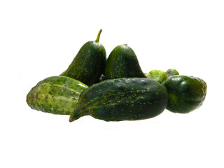 cucumber isolated on white background