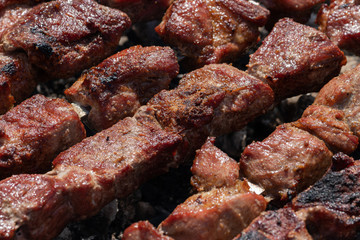 Tasty juicy pork barbecue cooking on metal skewers on charcoal outdoors grill with fragrant fire smoke. Cooking during summer picnic. Close-up view, selective focus on pieces of delicious roast meat.