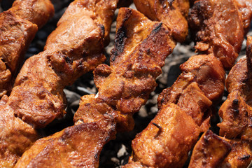 Tasty juicy pork barbecue cooking on metal skewers on outdoors charcoal grill with fragrant fire smoke. Close-up view, cooking during summer picnic. Selective focus on pieces of delicious roast meat.