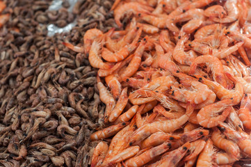 Closeup of fresh shrimps at the market