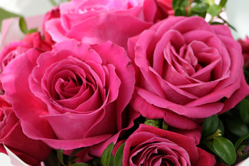 bloom