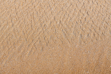 Sand