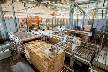 Production line of the wooden floor factory. CNC automatic woodworking machine.