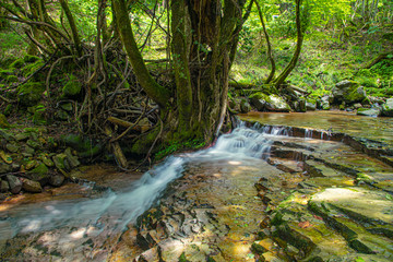 兵庫県・小代渓谷の自然風景、岩盤上に渓流