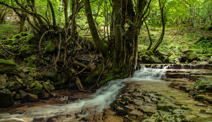 兵庫県・小代渓谷の自然風景、岩盤上に渓流