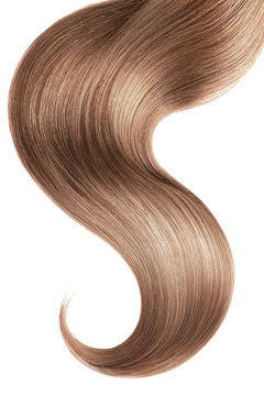 Brown hair isolated on white background. Long ponytail.