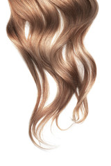 Obraz premium Brown wavy hair isolated on white background