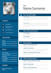 Professional personal resume cv with strips in blue design template