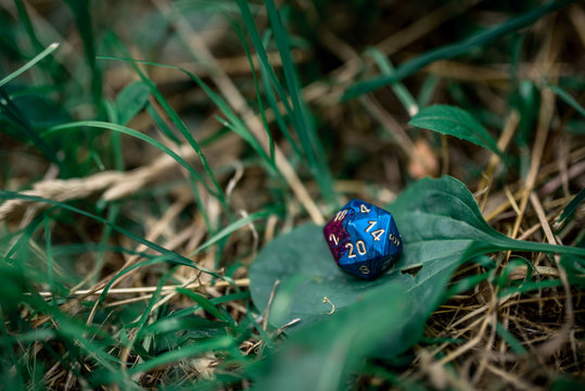 playing dice for role-playing and board games