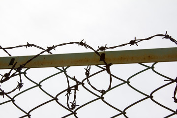 Wire mesh_03／鉄条網_03