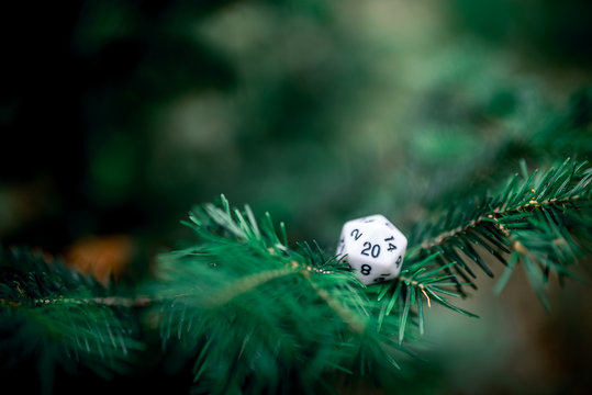playing dice for role-playing and board games