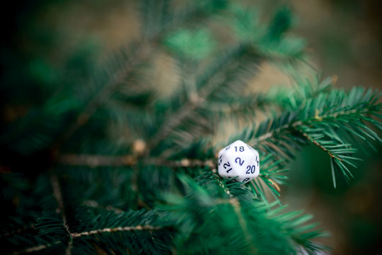 playing dice for role-playing and board games