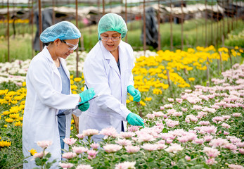 Two scientist women work together in experimental field of flower garden, one woman check the...