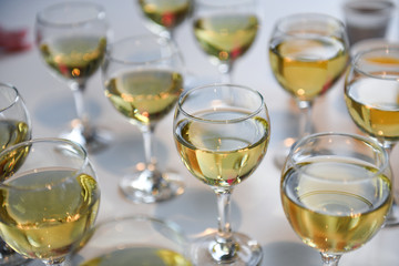 Glasses of white wine on the table