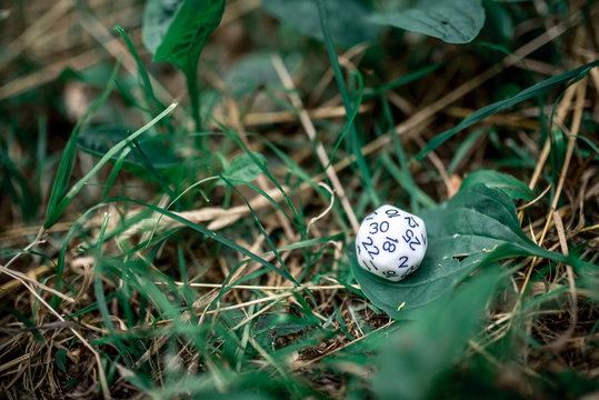 playing dice for role-playing and board games