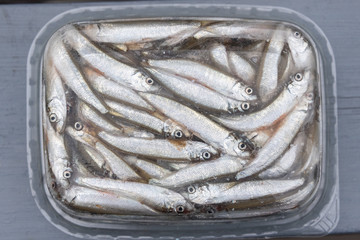 Frozen anchovies. A bunch of small fish for sale.