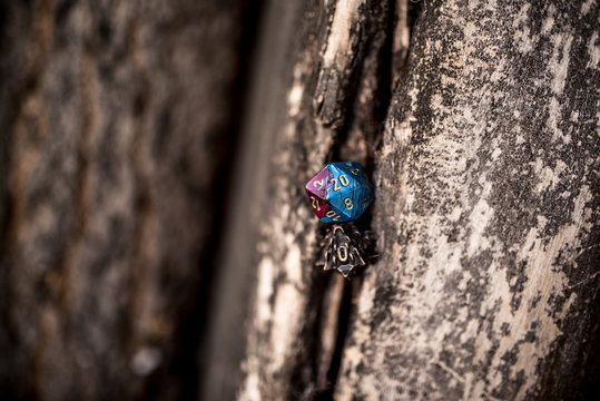playing dice for role-playing and board games