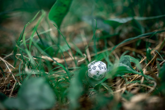 playing dice for role-playing and board games