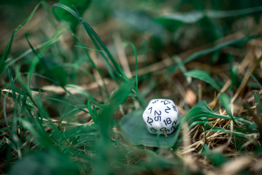 playing dice for role-playing and board games