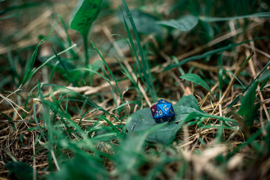 playing dice for role-playing and board games